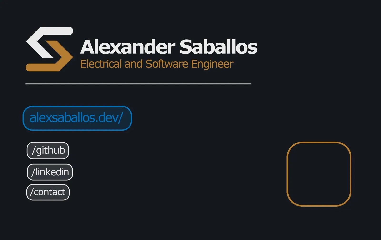 Professional Business Card v1