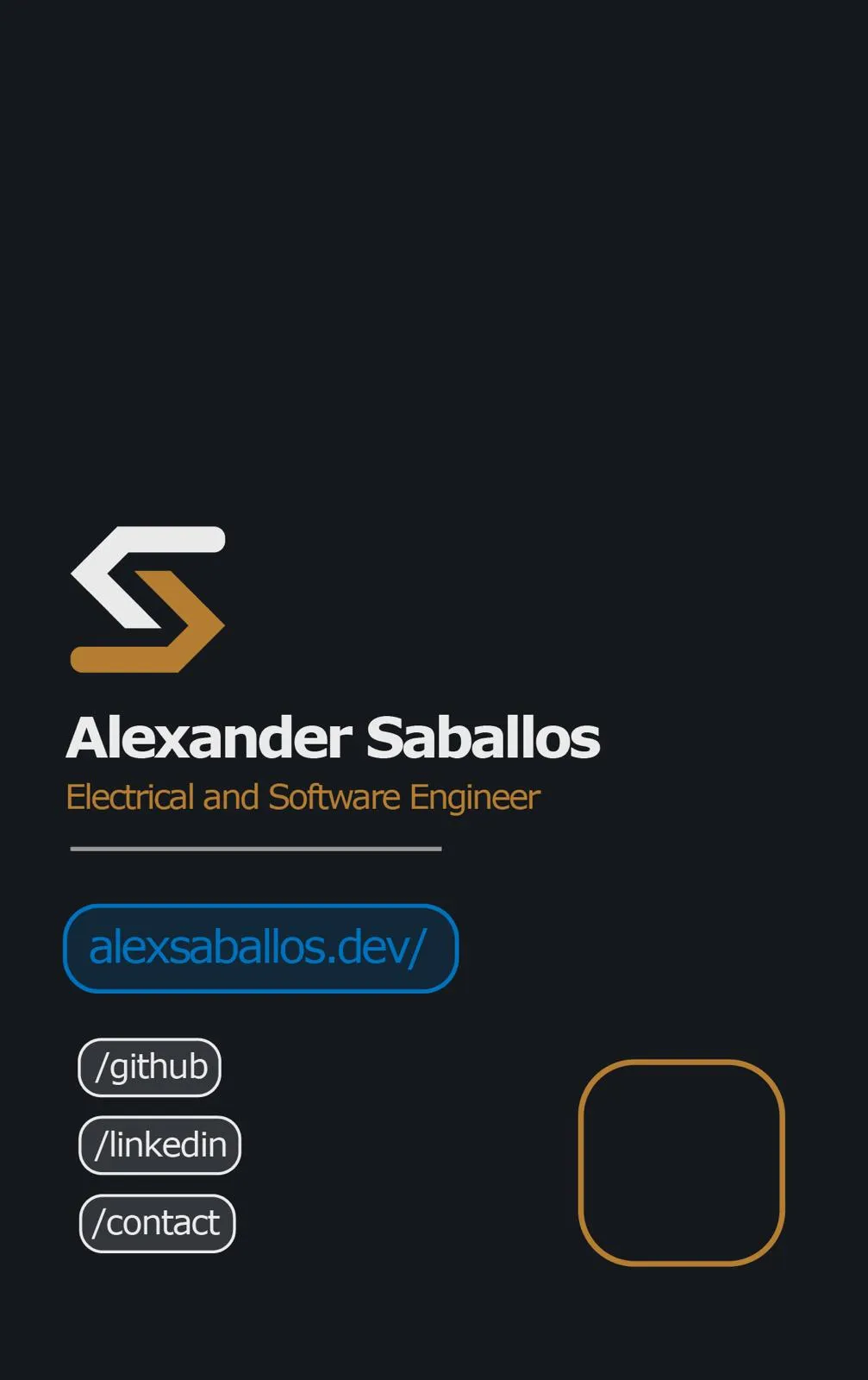 Professional Business Card v2